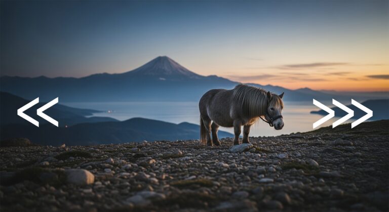 Your Guide to Affordable and Efficient Trash Rentals in Corning